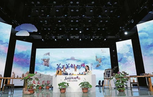 雙曬后半程 日用百貨銷售的持續發力與創新之路