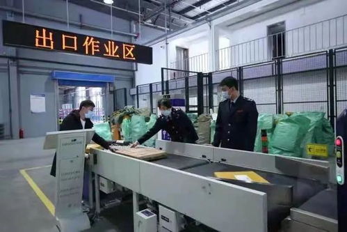 2020年琿春跨境電商一般出口商品貨值8.1億元，億企創助力地方經濟騰飛